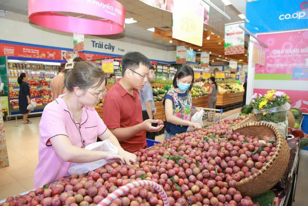 Tăng tiêu thụ nông sản Sơn La: Động lực từ liên kết và công nghệ