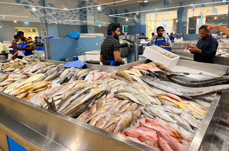 Nhập khẩu thủy sản tăng gần 29%, Ấn Độ vươn lên vị trí số một