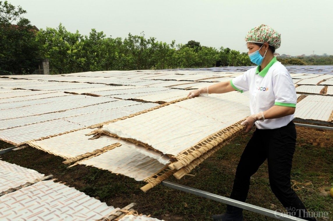 HTX Mỳ Chũ Nam Thể: Nỗ lực nâng cao giá trị mỳ Chũ