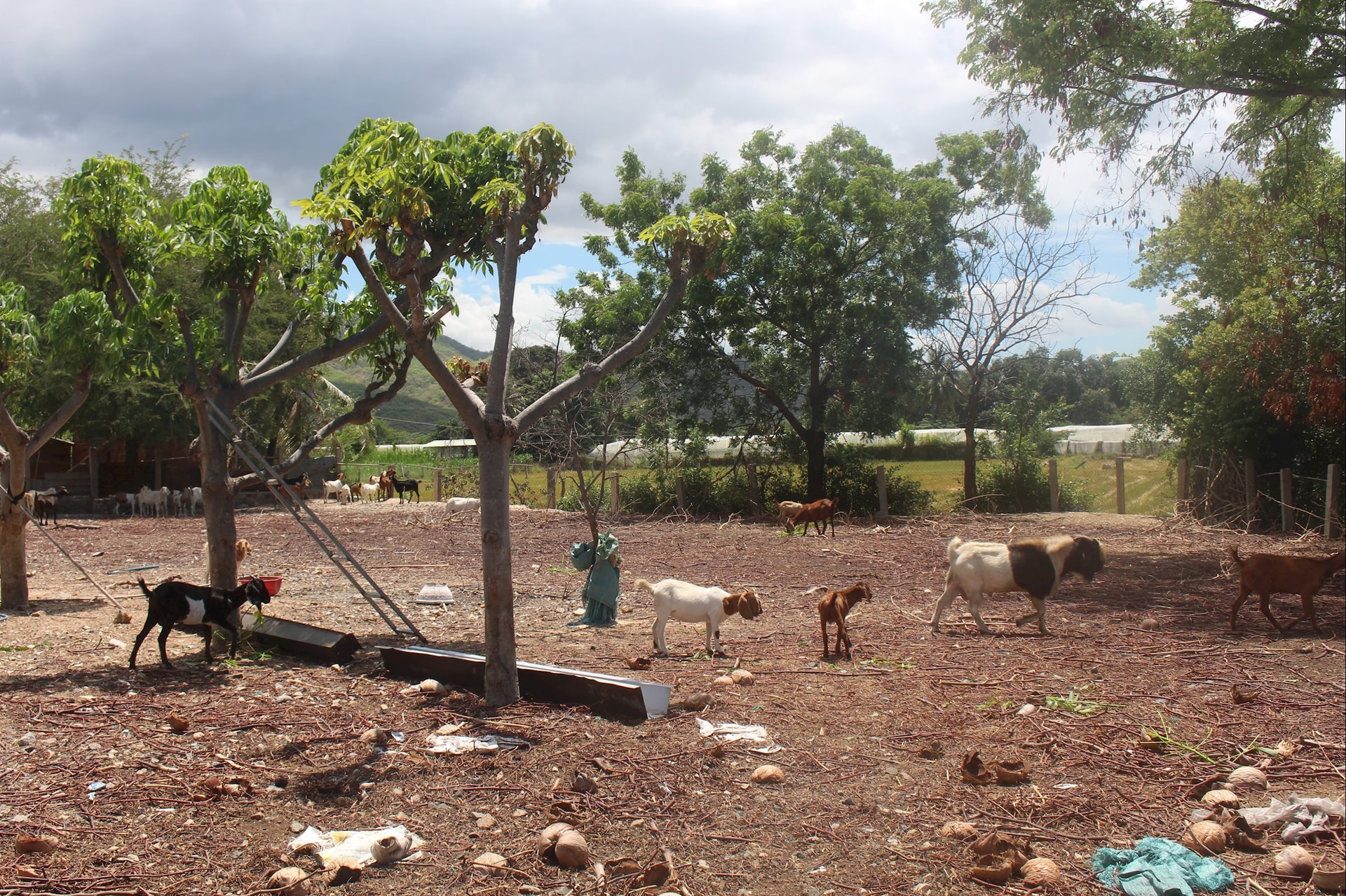 Chương trình 1719: Bước tiến bền vững cho đồng bào dân tộc thiểu số