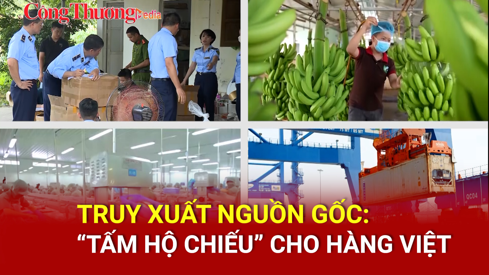 Truy xuất nguồn gốc: 'Tấm hộ chiếu' cho hàng Việt