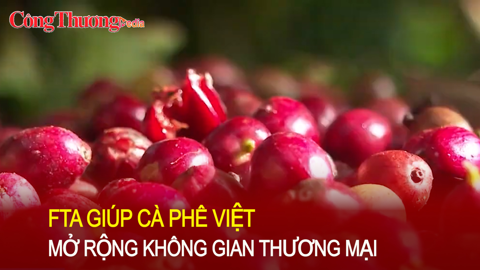 FTA giúp cà phê Việt mở rộng không gian thương mại