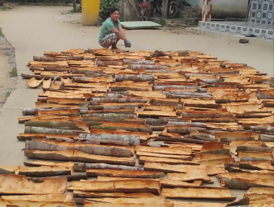 Những phụ nữ “nâng tầm” nông sản miền núi Đà Nẵng