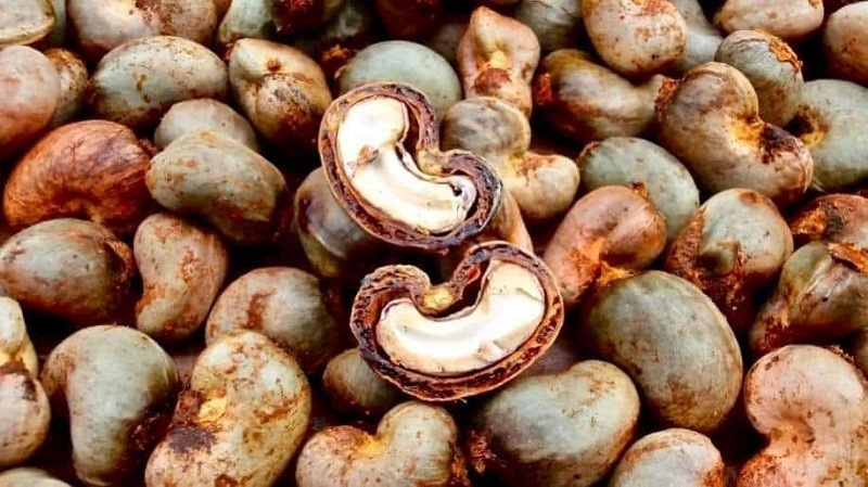 Hạt điều Việt Nam chiếm hơn 71% thị phần nhập khẩu của EU
