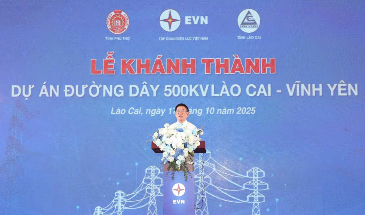 Phó Thủ tướng Hồ Đức Phơc phát biểu chúc mừng, đánh giá cao nỗ lực của EVN và các bên liên quan