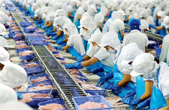 Thuỷ sản Việt Nam cần chiến lược tổng thể để mở rộng thị trường EU