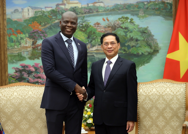 Thúc đẩy kim ngạch song phương Việt Nam - Nam Phi đạt 2 tỷ USD