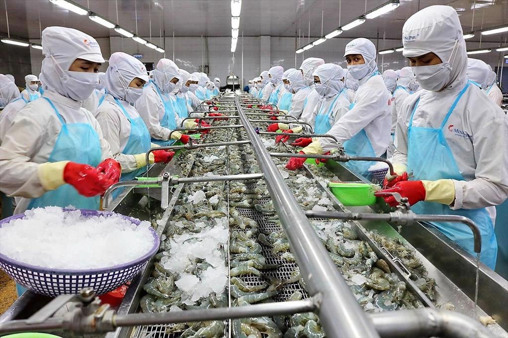 Những thách thức của thủy sản Việt Nam tại thị trường Singapore