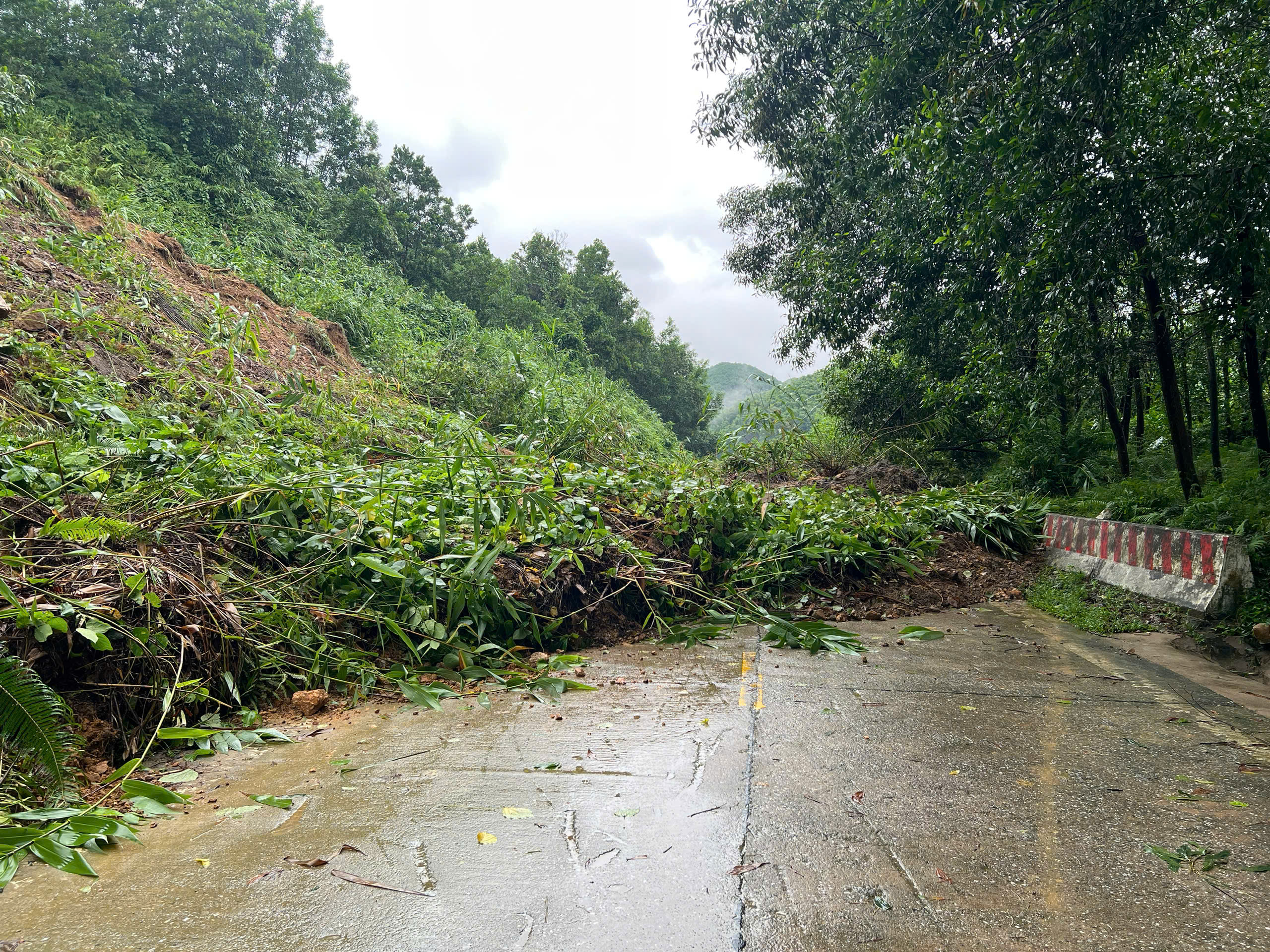Đà Nẵng: Lũ trên sông Vu Gia - Thu Bồn đạt đỉnh, xuống chậm