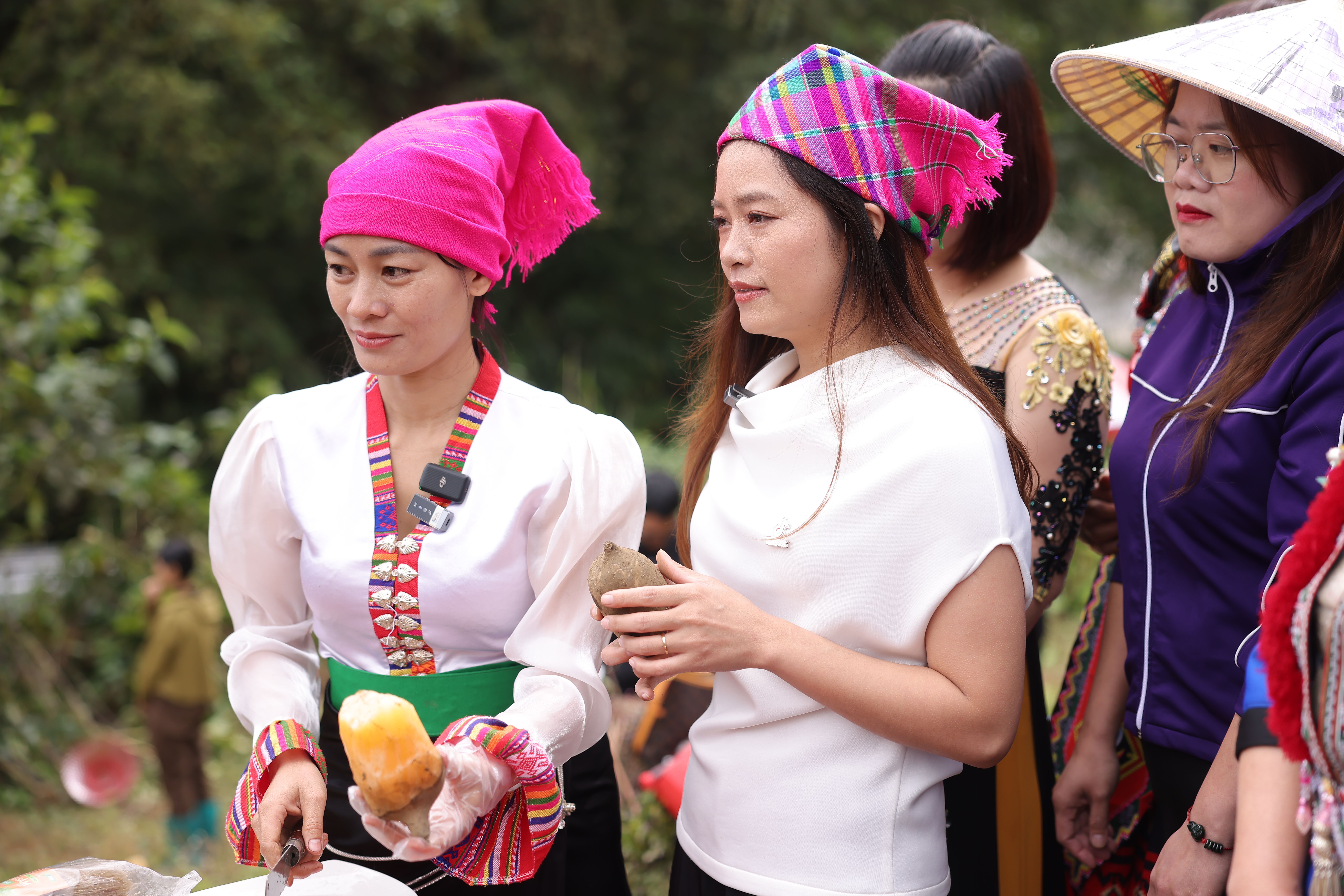 300 tấn khoai sâm đất Sìn Hồ được tiêu thụ qua TikTok Shop sau 2 tháng