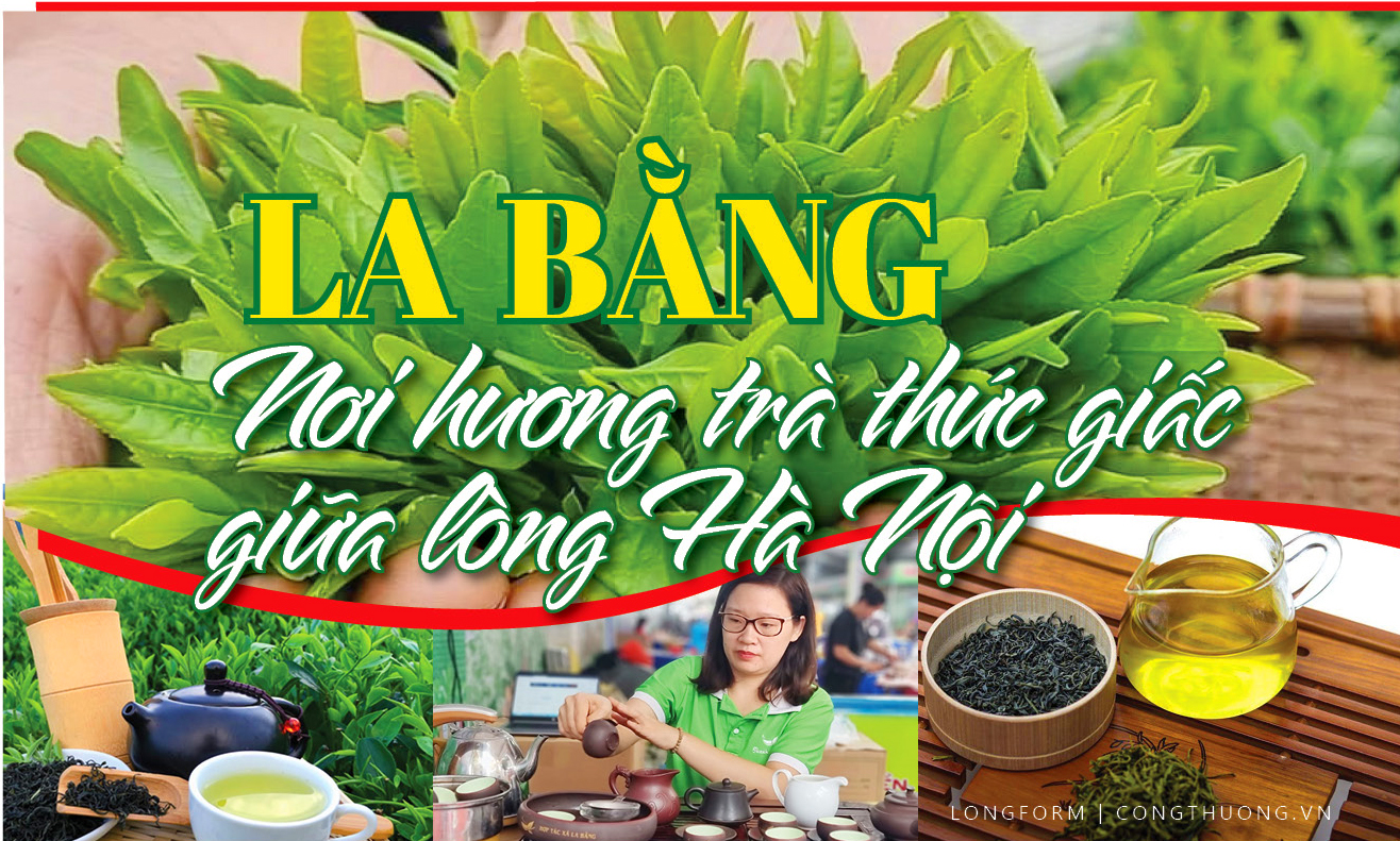 Longform | La Bằng: Nơi hương trà 'thức giấc' giữa lòng Hà Nội