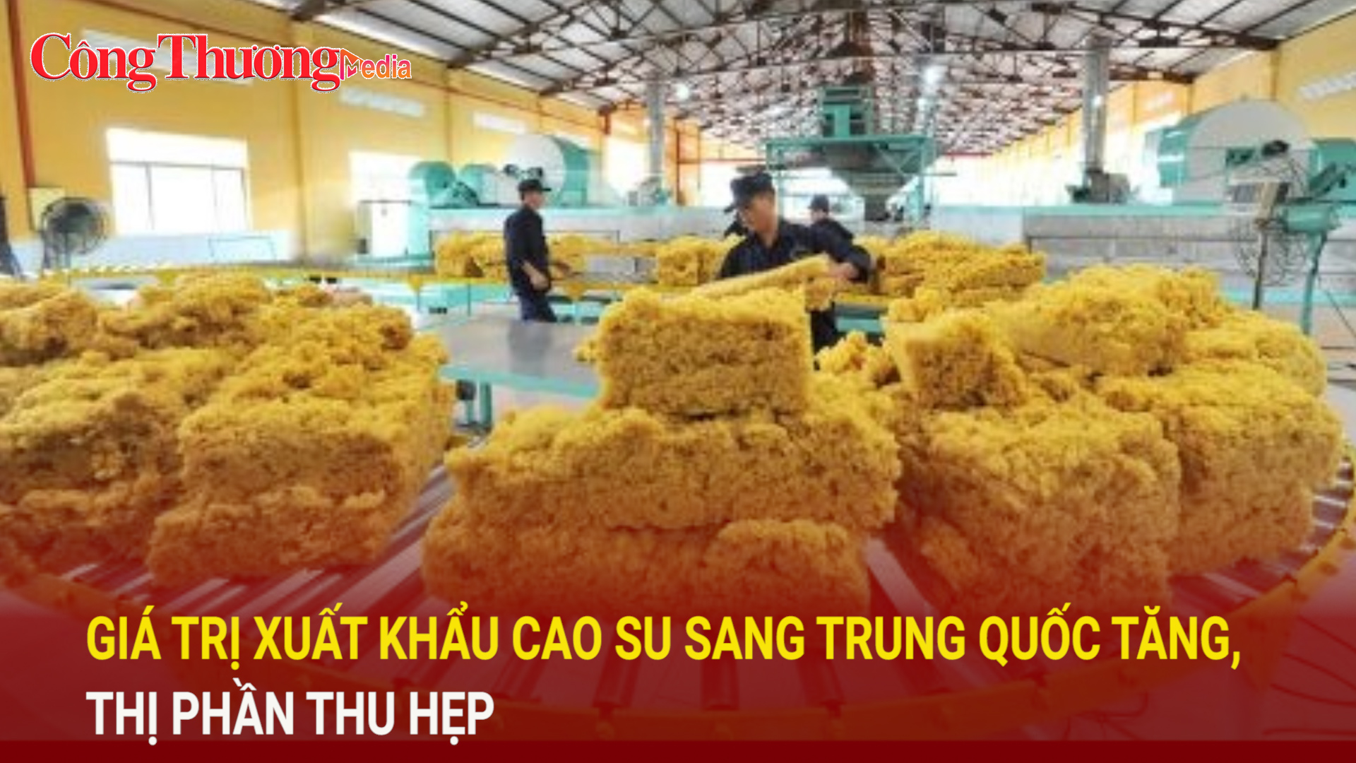 Giá trị xuất khẩu cao su sang Trung Quốc tăng, thị phần thu hẹp