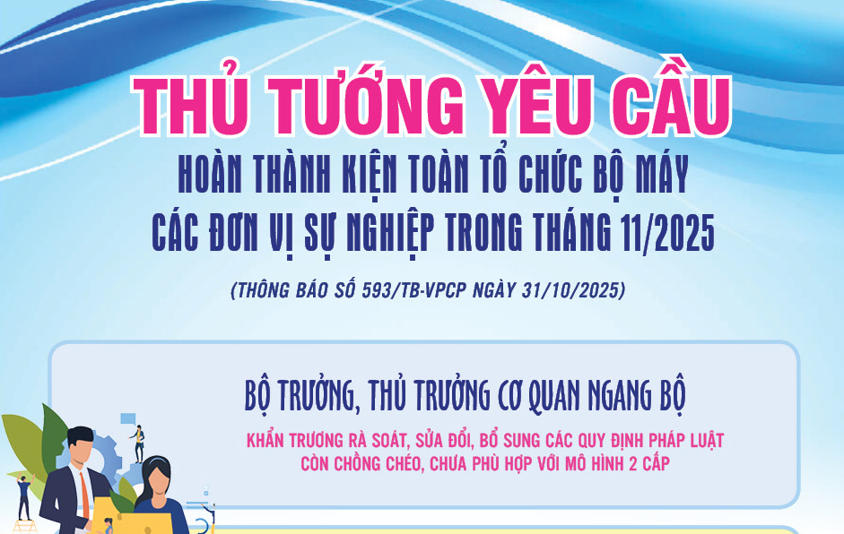Thủ tướng yêu cầu kiện toàn tổ chức bộ máy các đơn vị sự nghiệp trong tháng 11/2025
