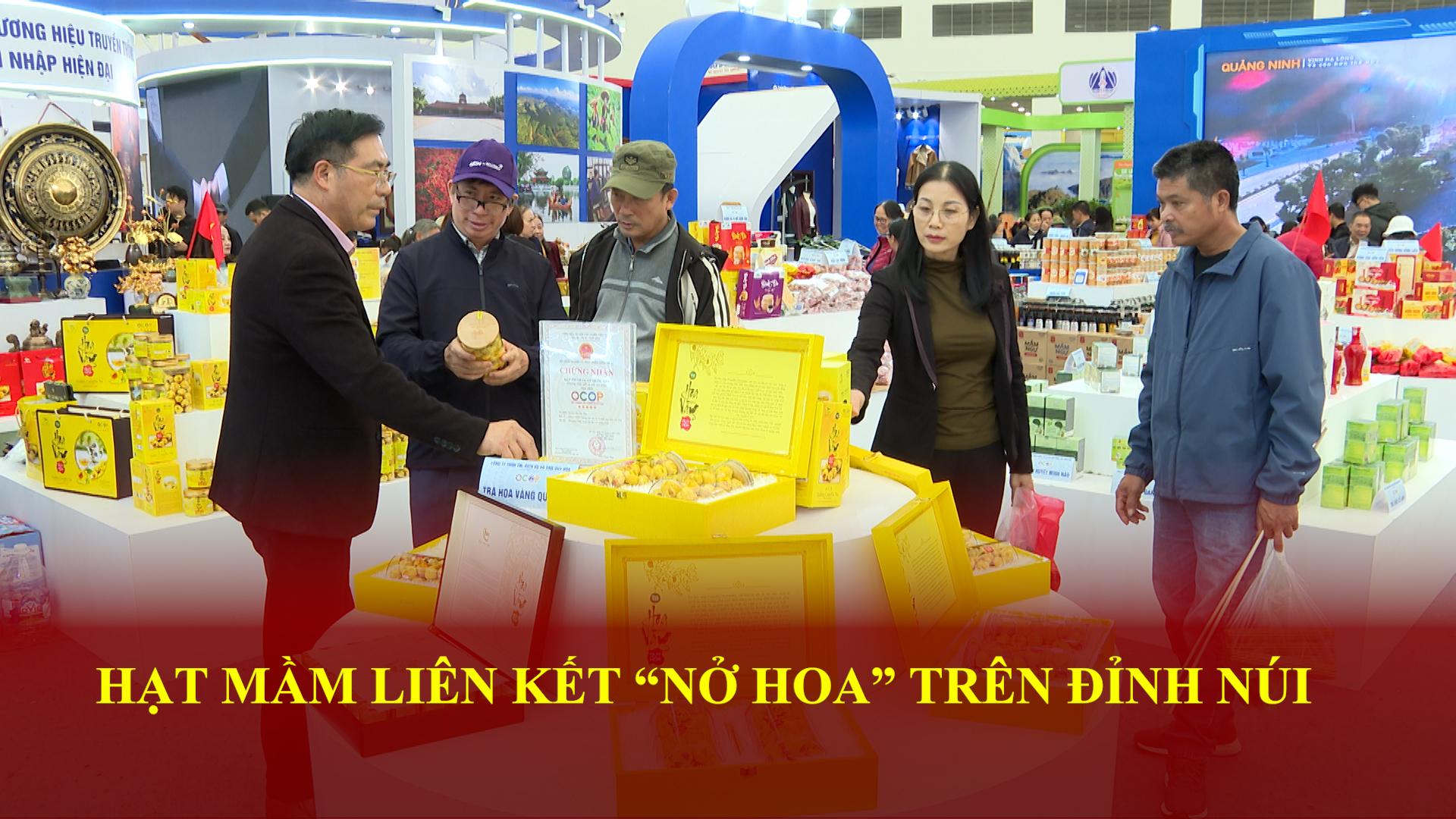Hạt mầm liên kết 'nở hoa' trên đỉnh núi