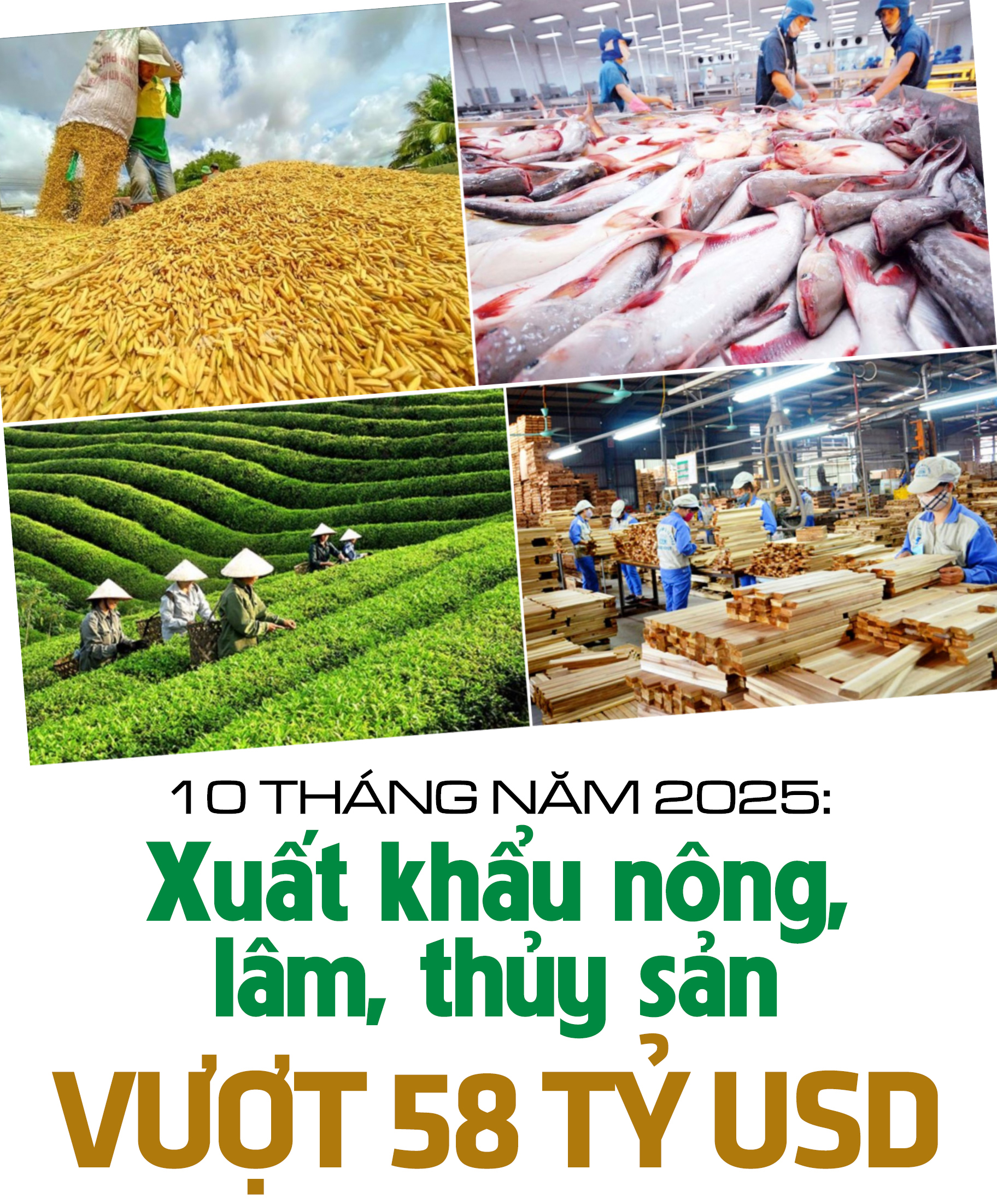 Infographic | 10 tháng, xuất khẩu nông sản tăng gần 13% đạt hơn 58 tỷ USD