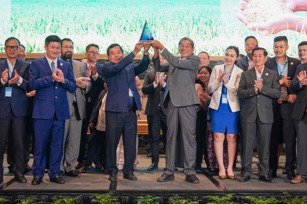ST25 lần 3 đoạt 'Gạo ngon nhất thế giới': Vì sao?