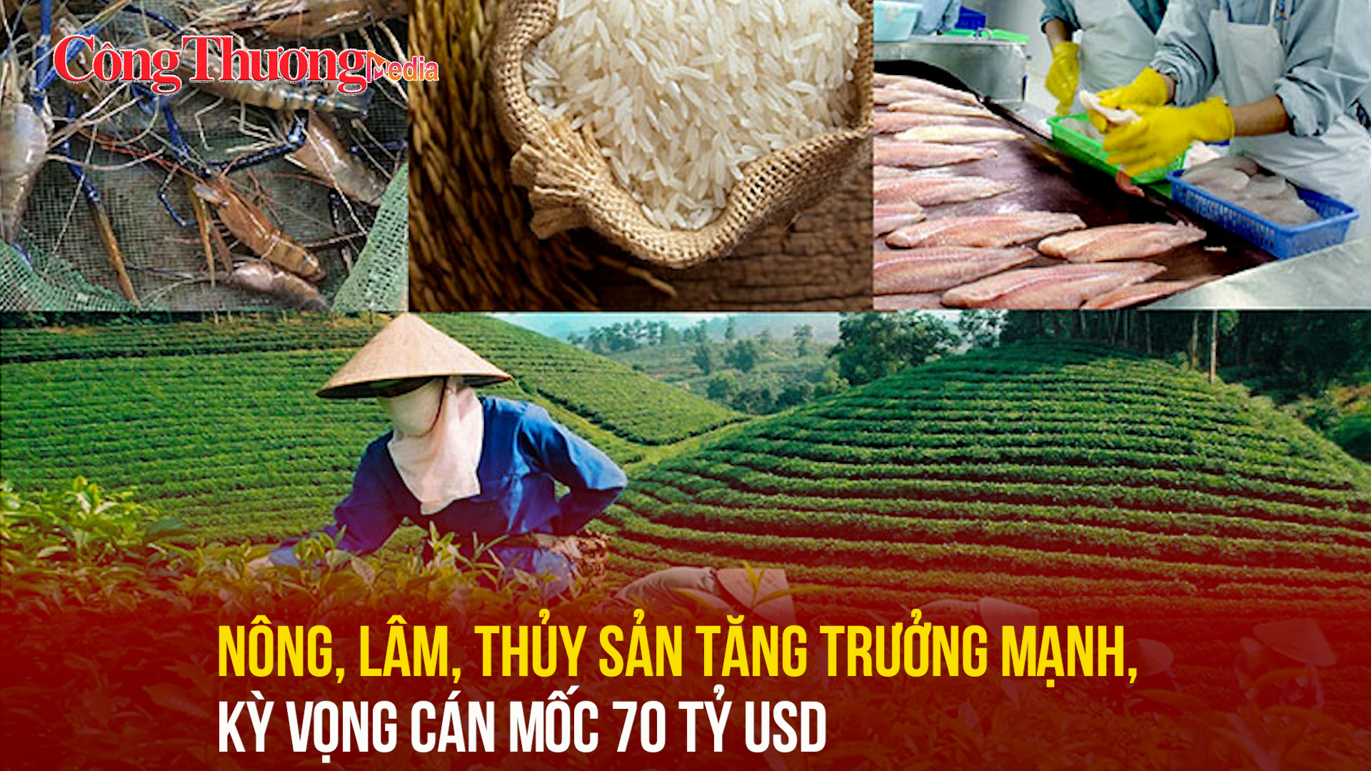 Nông, lâm, thủy sản tăng trưởng mạnh, kỳ vọng cán mốc 70 tỷ USD