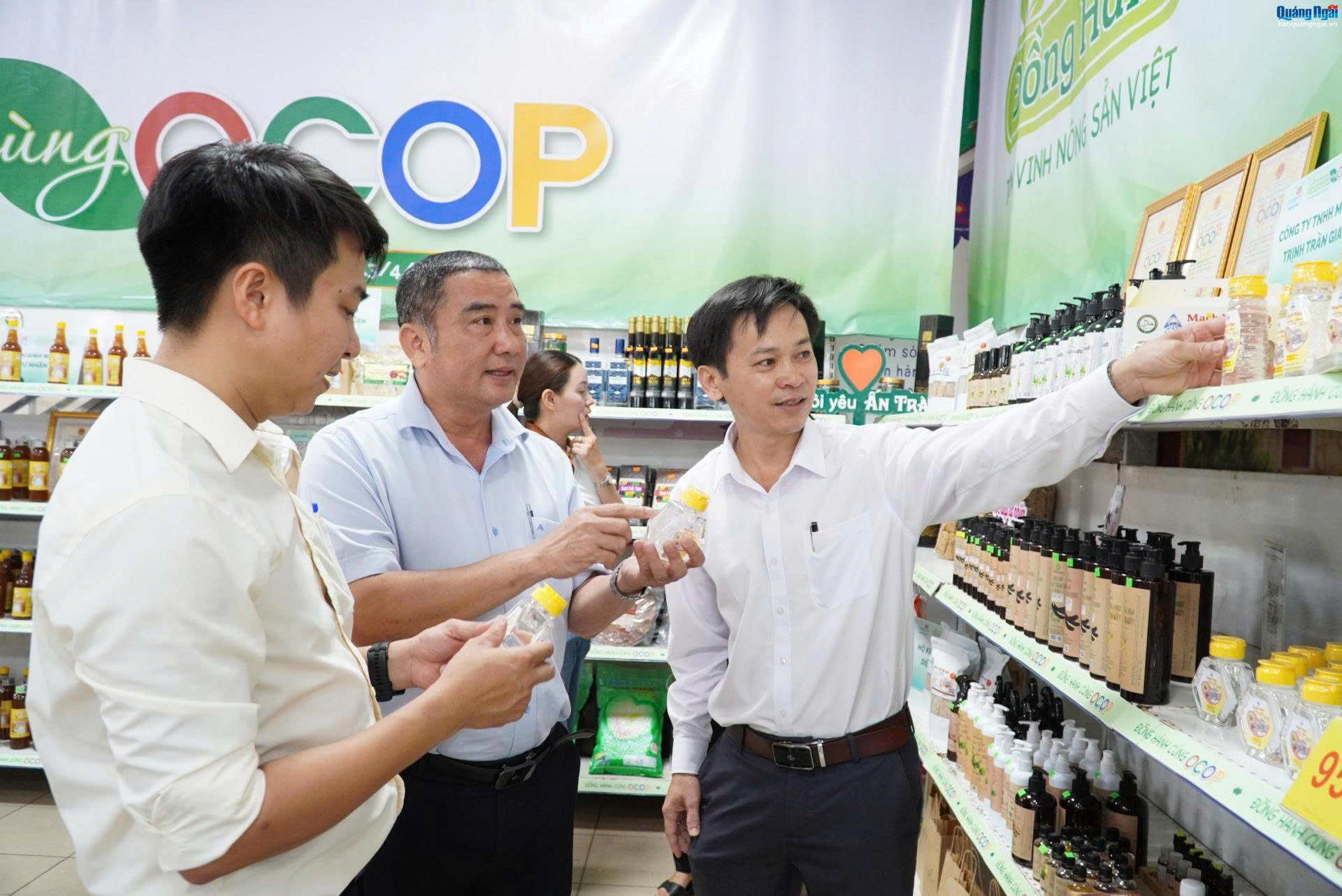 Quảng Ngãi: Khơi thông nguồn lực, hoàn thiện mục tiêu nông thôn mới