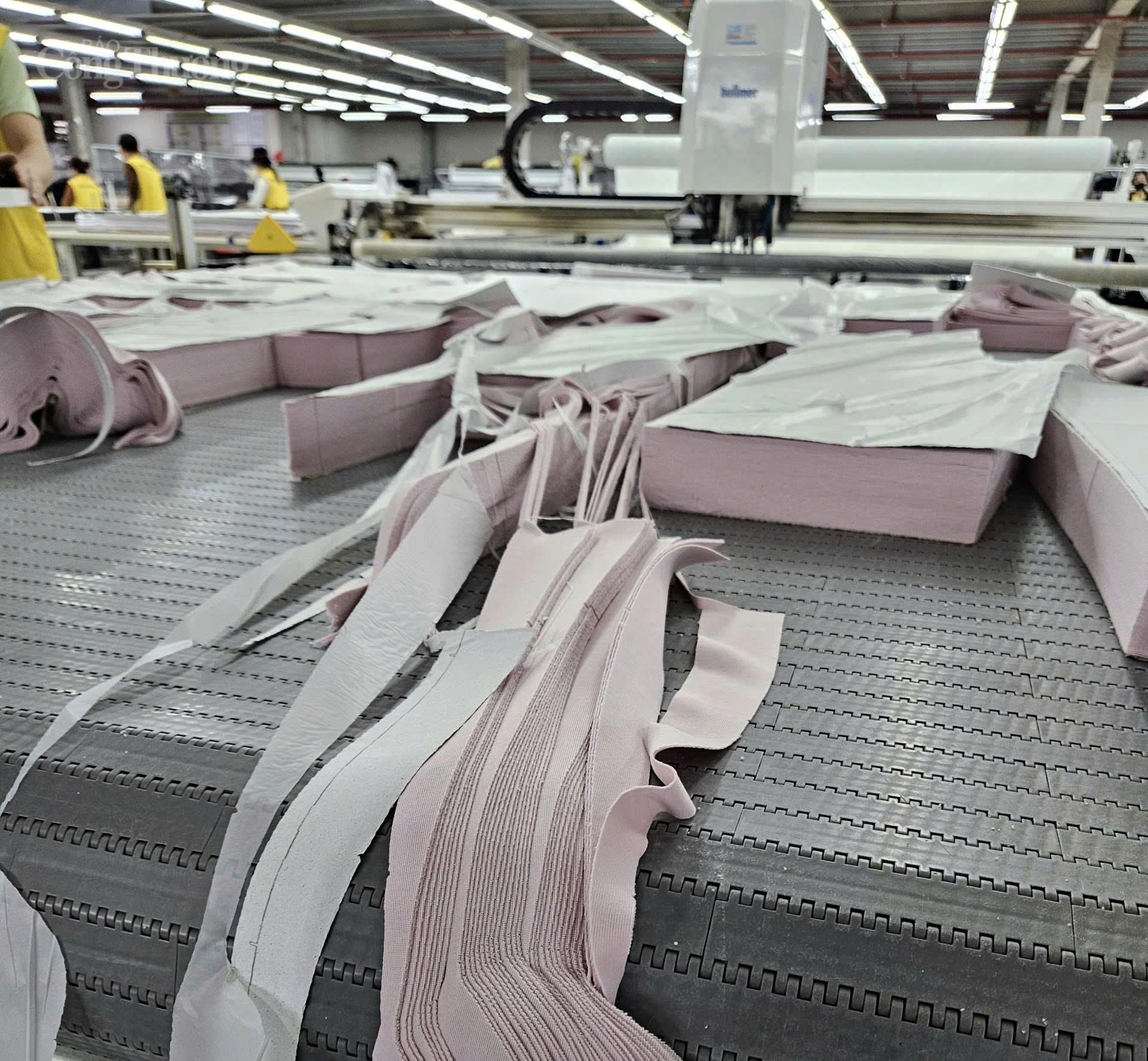 Syre 'bắt tay' Nike: Cánh cửa cơ hội cho ngành dệt may Việt Nam