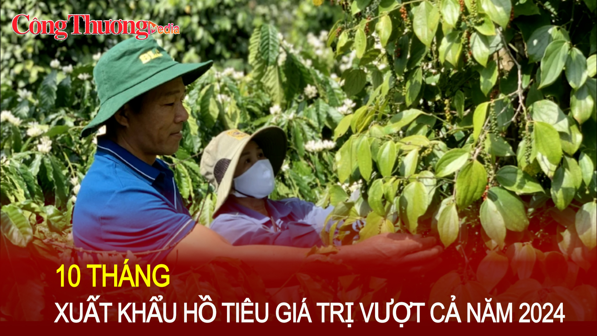 10 tháng xuất khẩu hồ tiêu giá trị vượt cả năm 2024