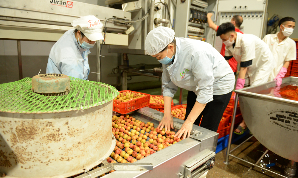 Bắc Ninh cân bằng hệ sinh thái sản xuất từ cụm công nghiệp