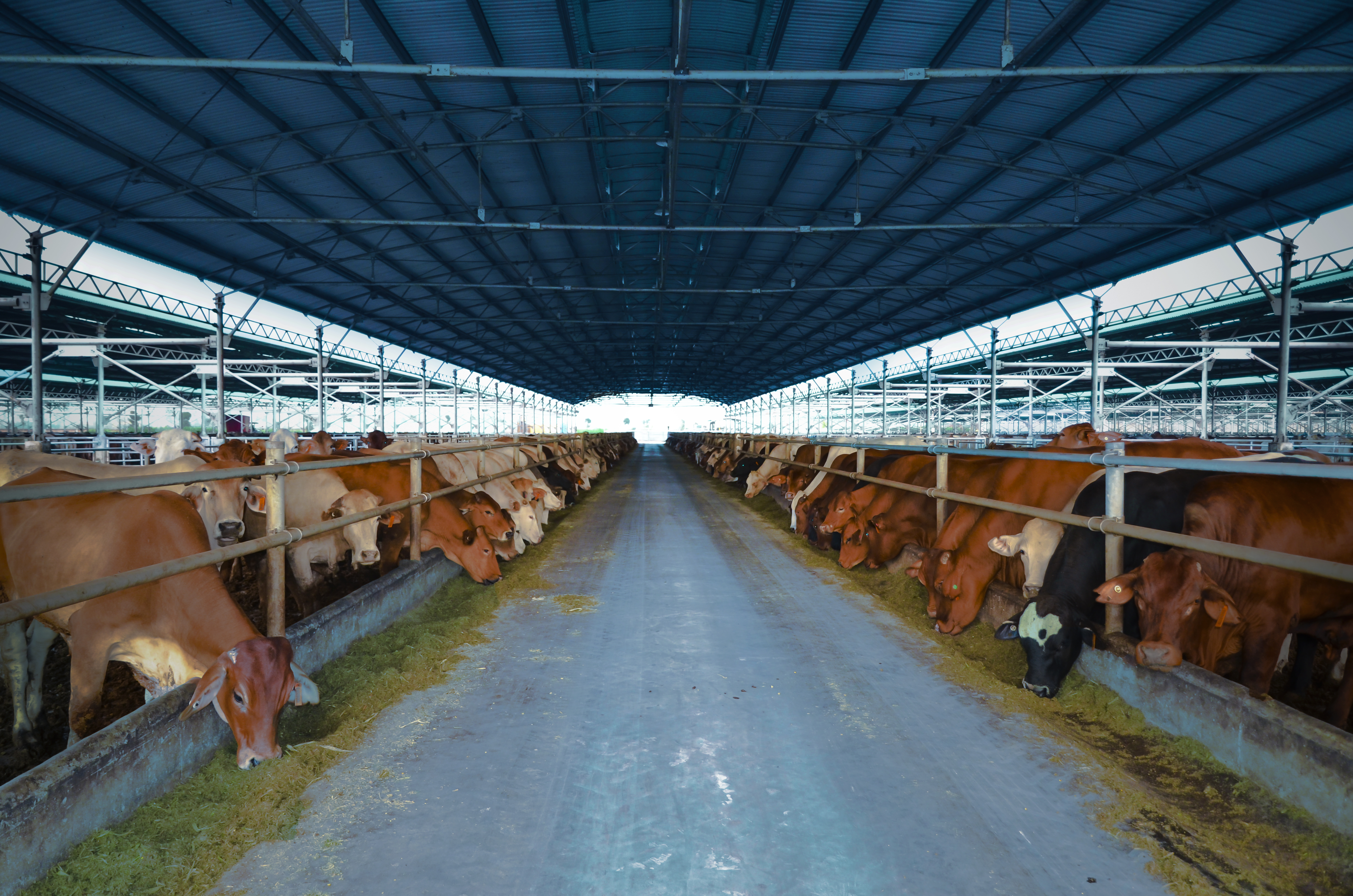 Phát triển vốn thứ cấp, doanh nghiệp nông nghiệp IPO 30 triệu cổ phiếu