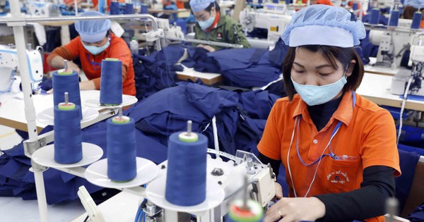 Infographic | Kim ngạch thương mại Việt Nam-Nhật Bản đạt 42,43 tỷ USD