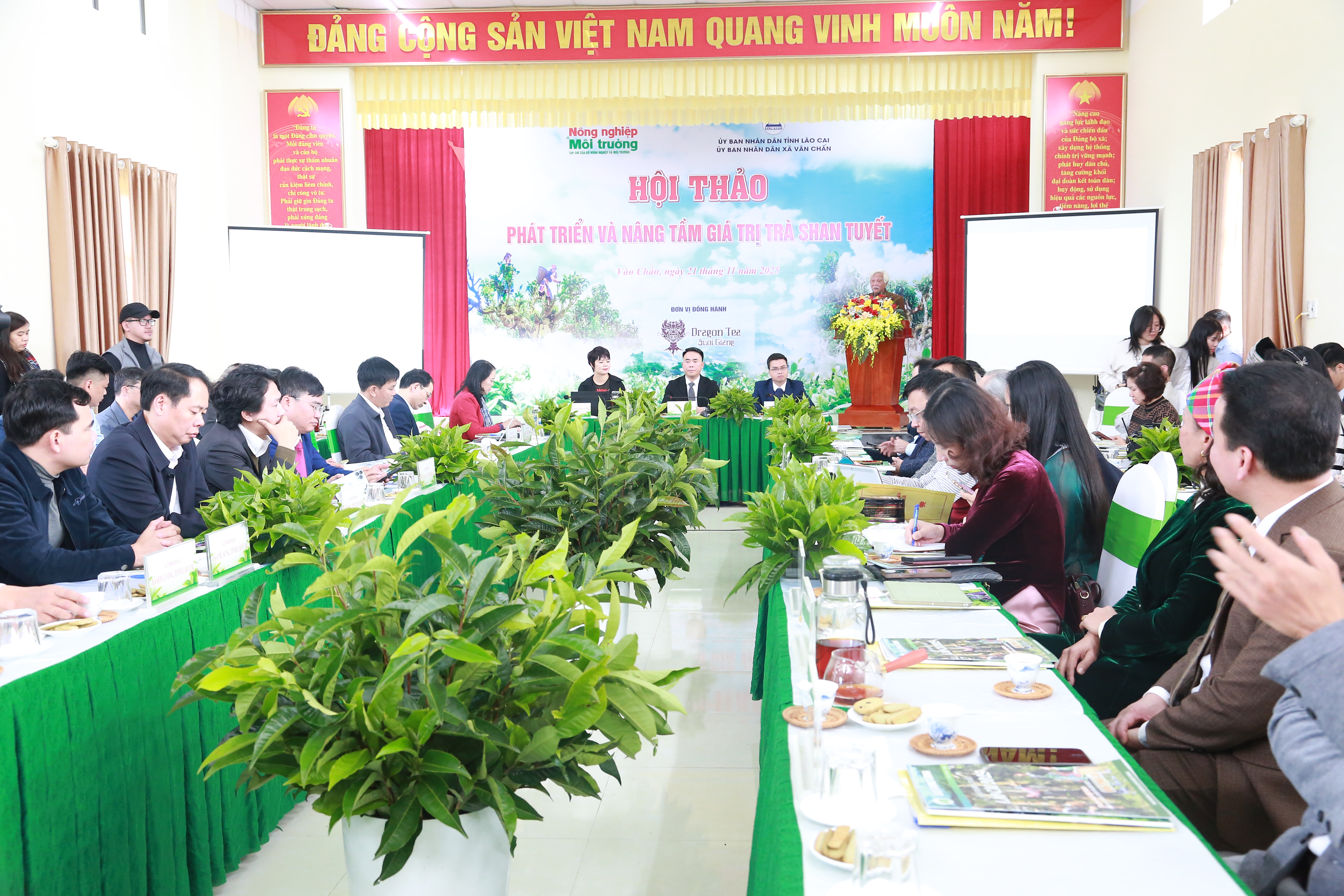 Mục tiêu đưa trà Shan Tuyết Suối Giàng phát triển xứng tầm tiềm năng