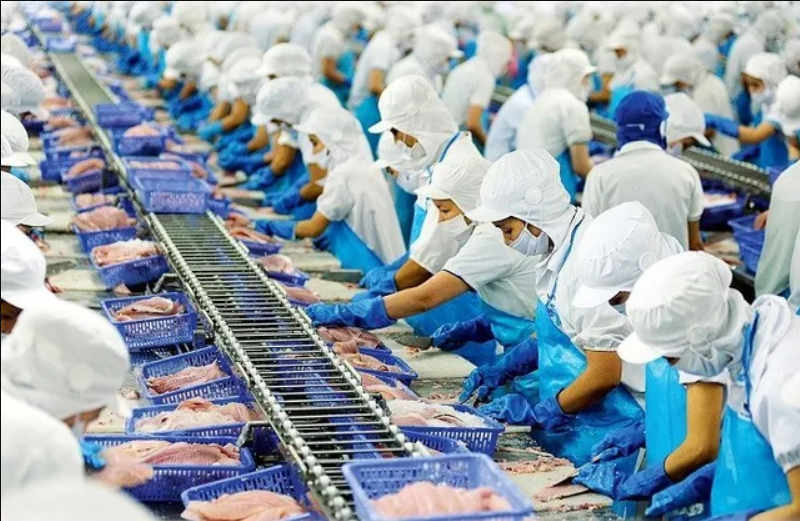 Infographic | Xuất khẩu thủy sản Việt Nam tăng 16% trong 10 tháng 2025