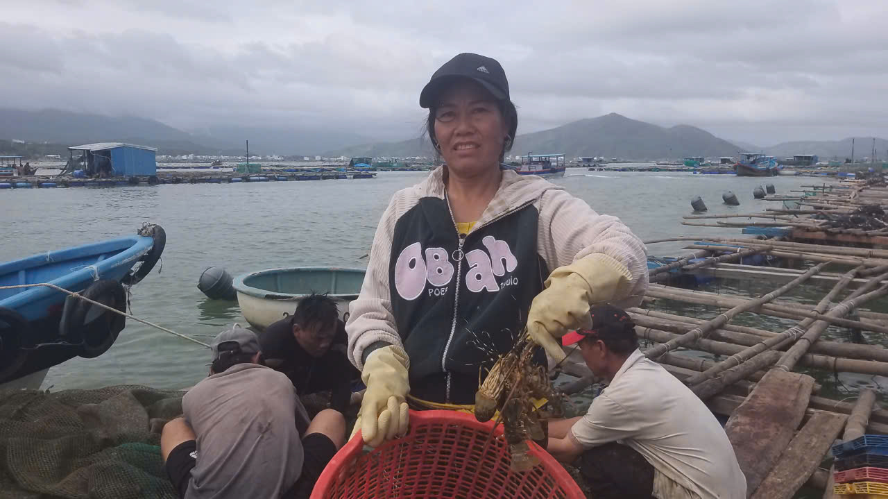 Đắk Lắk: Tôm chết vì sốc nhiệt, ngư dân thiệt hại hơn 3.000 tỷ đồng