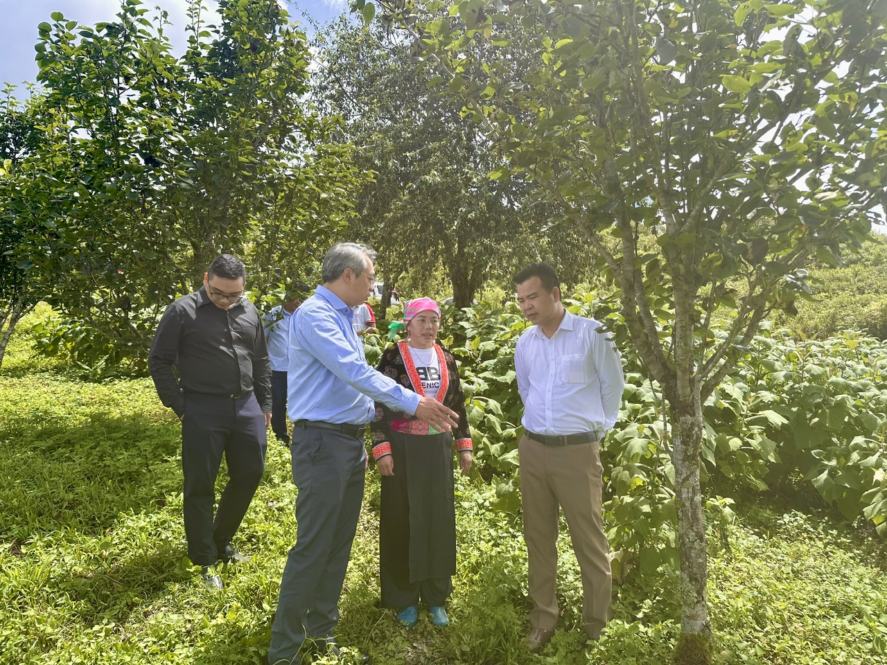 Liên kết sản xuất tạo sinh kế bền vững cho đồng bào dân tộc Lai Châu