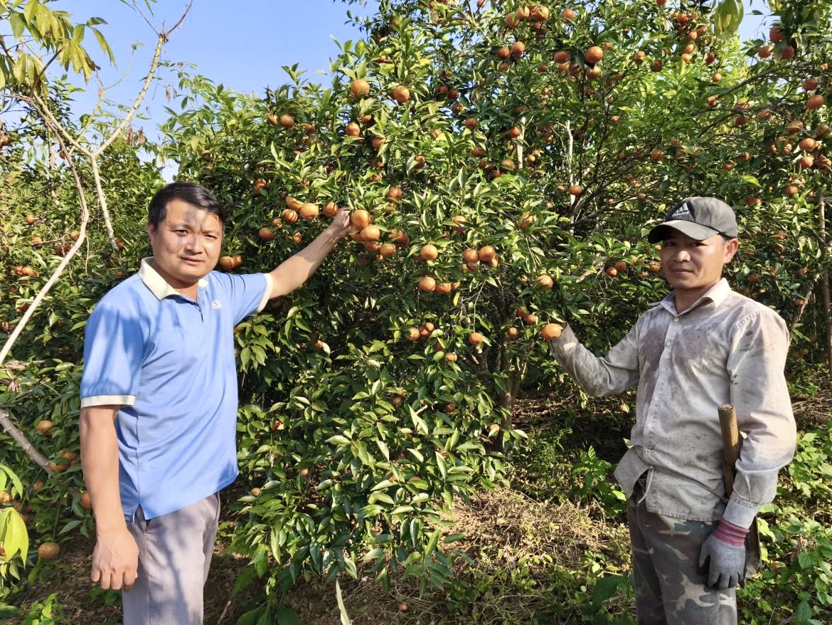  Lan tỏa những đổi thay từ hỗ trợ giảm nghèo ở Tân Pheo