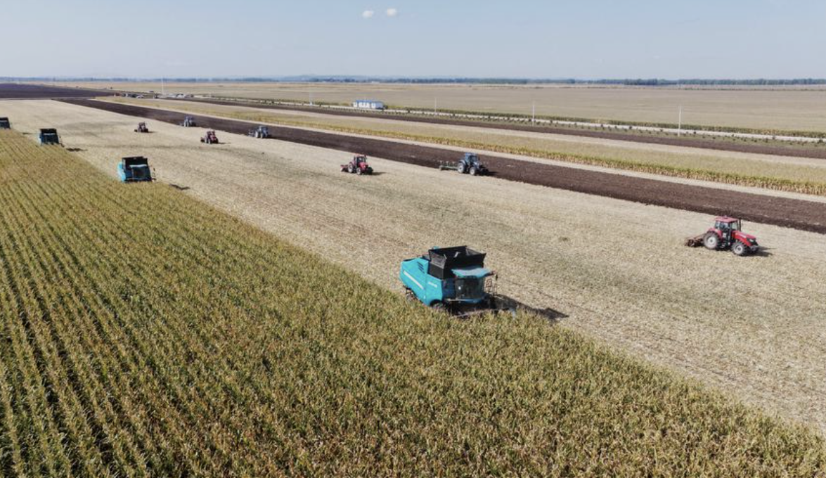 Trung Quốc áp dụng AI để đảm bảo an ninh lương thực