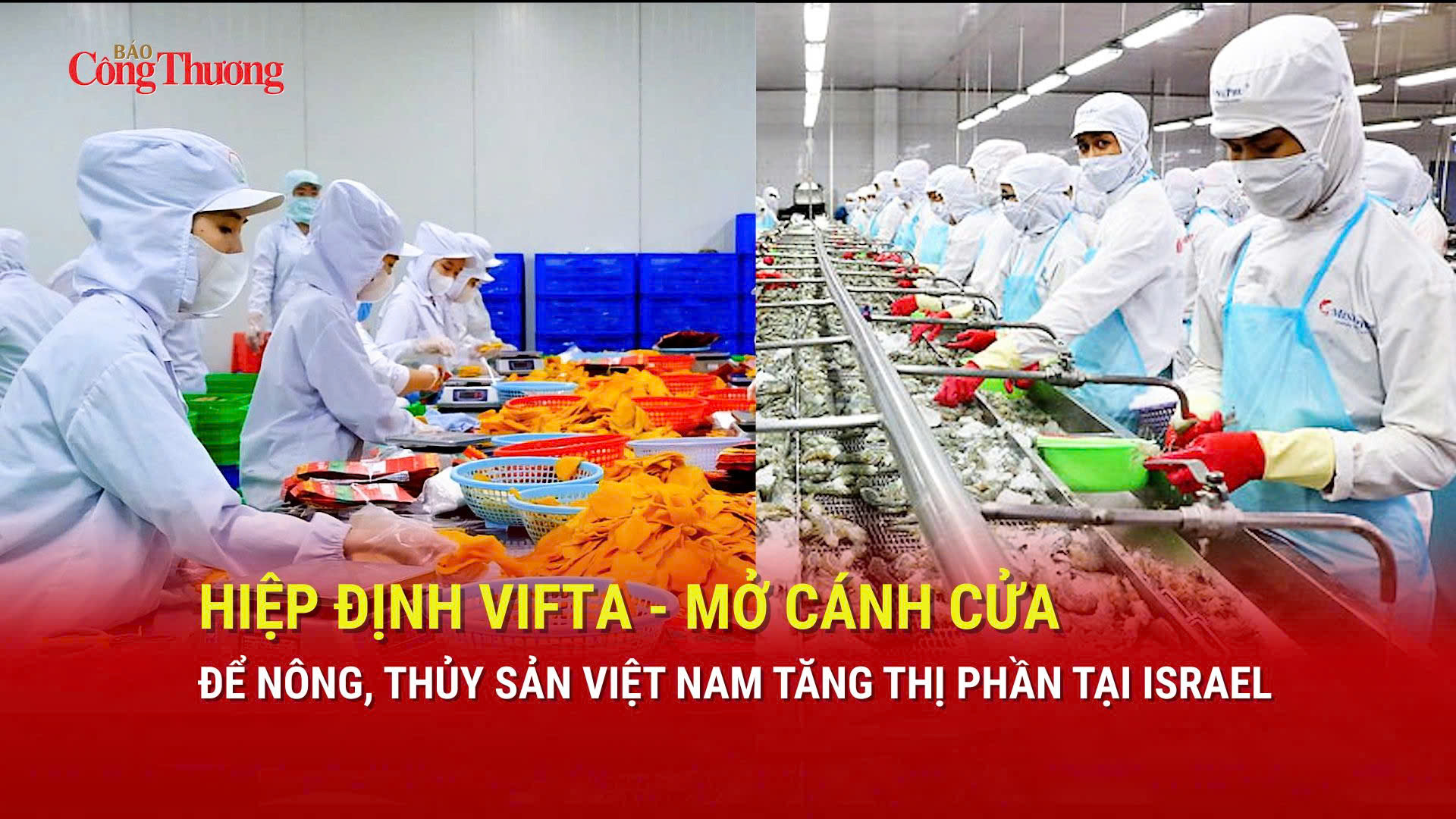 Hiệp định VIFTA - mở cánh cửa để nông, thủy sản tăng thị phần tại Israel
