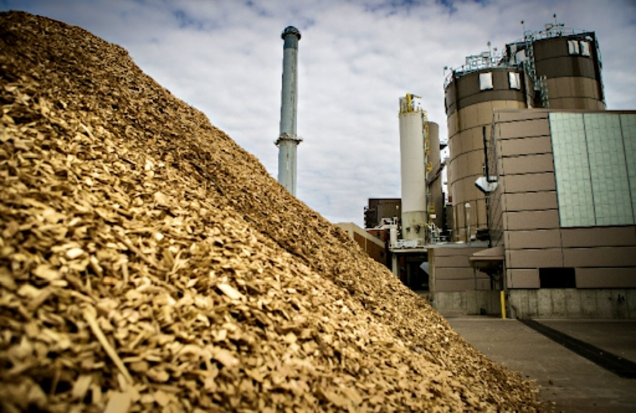 Chấp thuận chủ trương đầu tư Dự án Nhà máy điện sinh khối An Giang 1