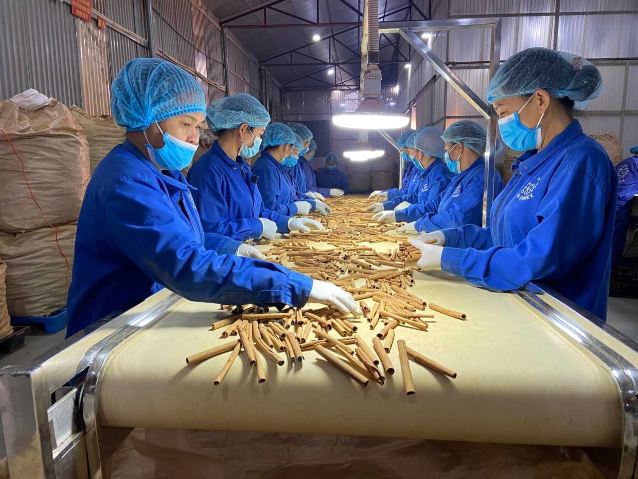 Lào Cai: Hỗ trợ doanh nghiệp nắm rõ quy tắc xuất xứ, tận dụng FTA