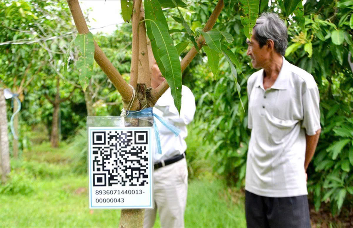 Quảng Ngãi: Ứng dụng AI vào kinh doanh hợp tác xã