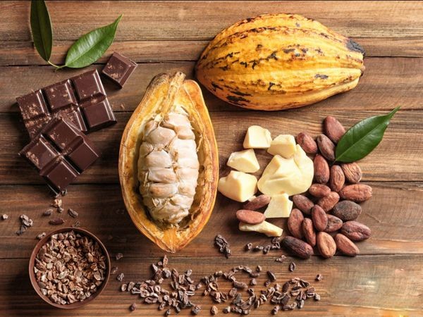 Giá ca cao giảm mạnh do lo ngại nguồn cung đã quay trở lại