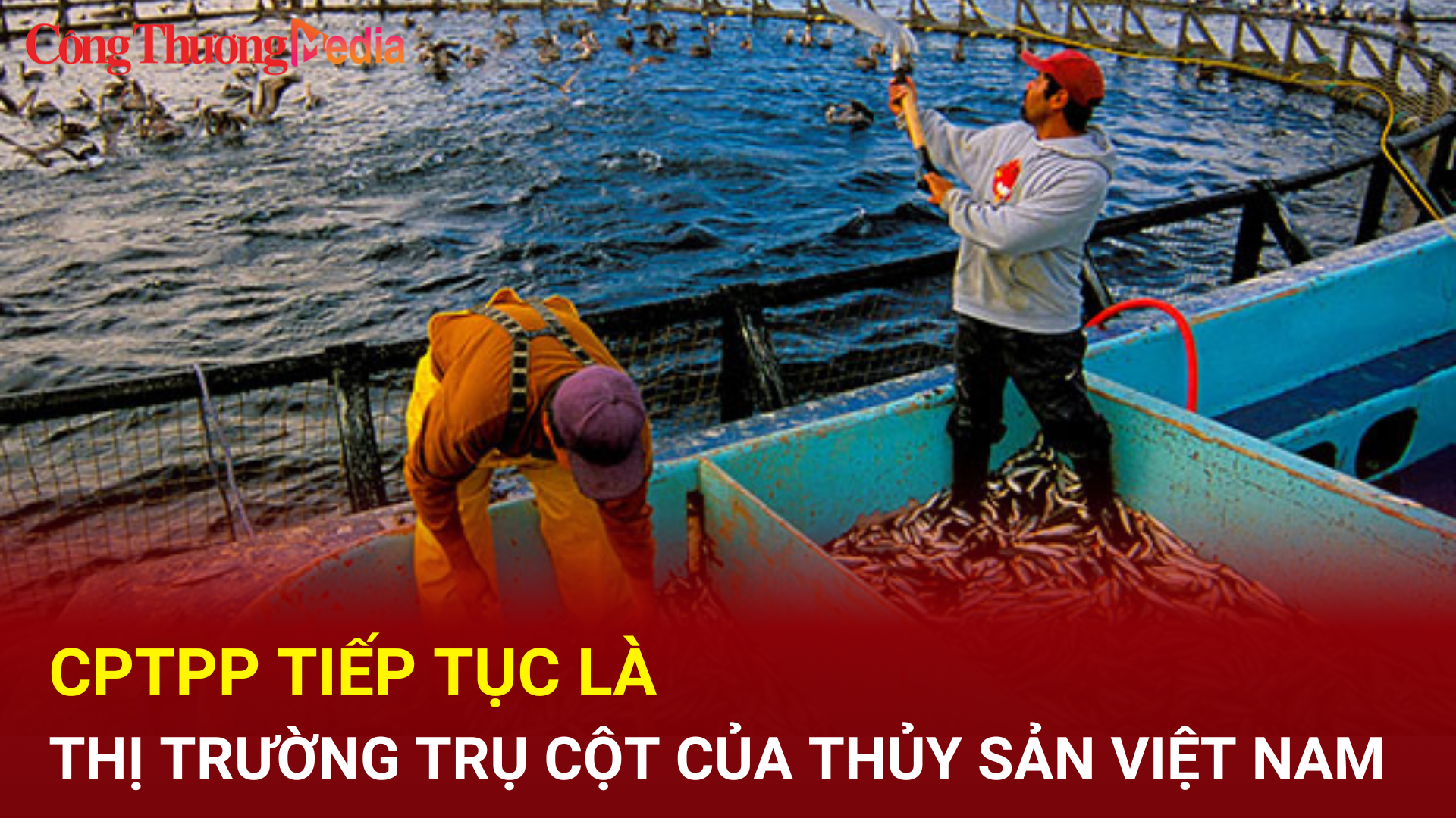 CPTPP tiếp tục là thị trường trụ cột của thủy sản Việt Nam