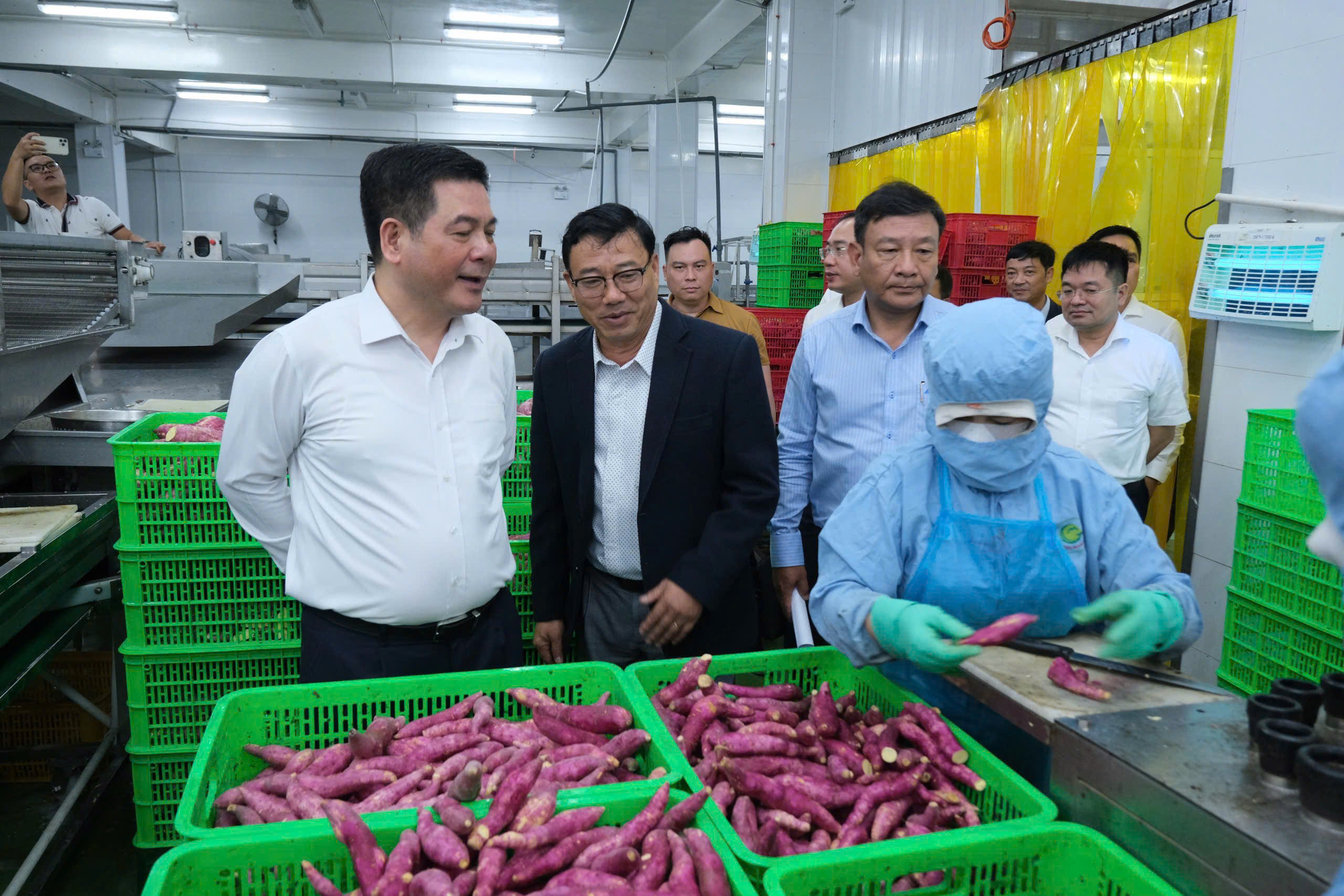 Lâm Đồng triển khai kịp thời việc cấp C/O trên hệ thống eCoSys