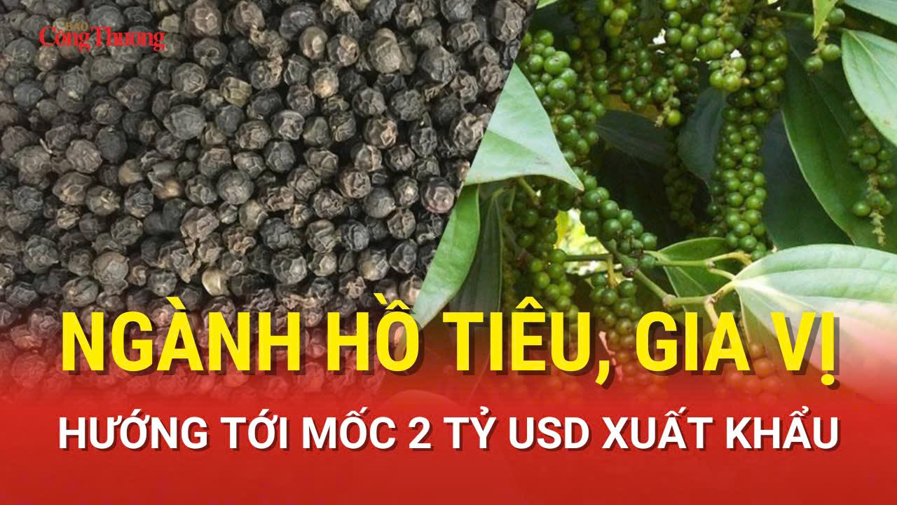 Ngành hồ tiêu, gia vị hướng tới mốc 2 tỷ USD xuất khẩu