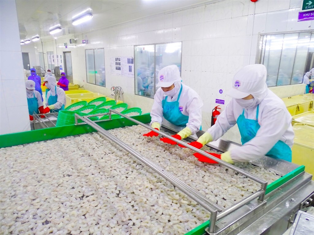 Khai thác FTA thế hệ mới: Đòn bẩy đưa thủy sản Cà Mau vươn xa