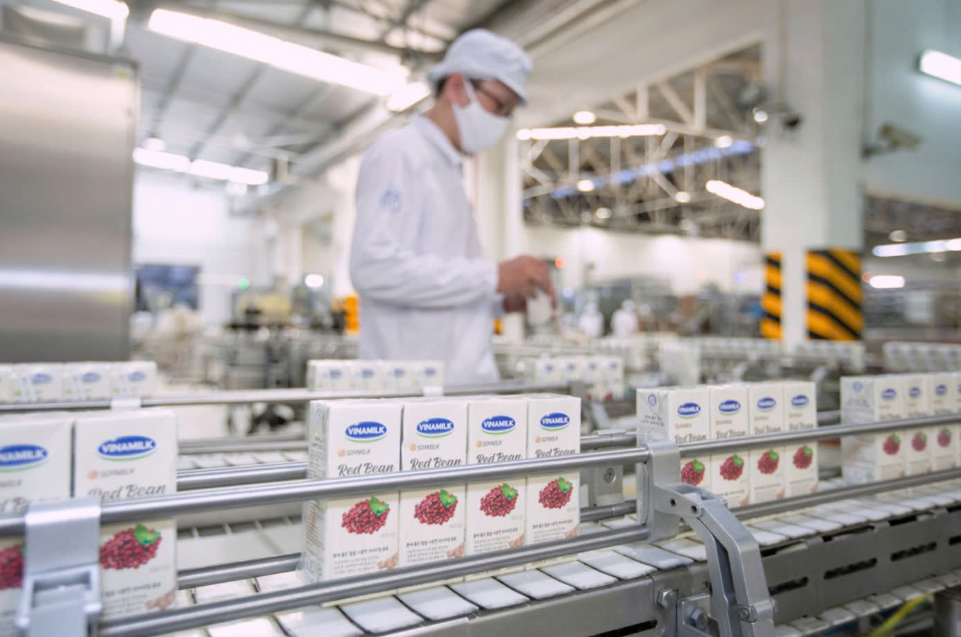 Ngành sữa và bài toán xuất xứ hàng hóa trong xuất khẩu