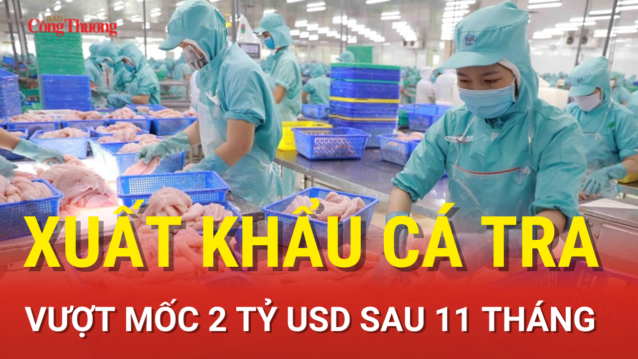 Xuất khẩu cá tra vượt mốc 2 tỷ USD sau 11 tháng