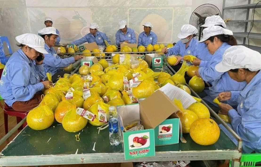 Quy tắc xuất xứ với nông sản và thủy sản trong bối cảnh hội nhập sâu