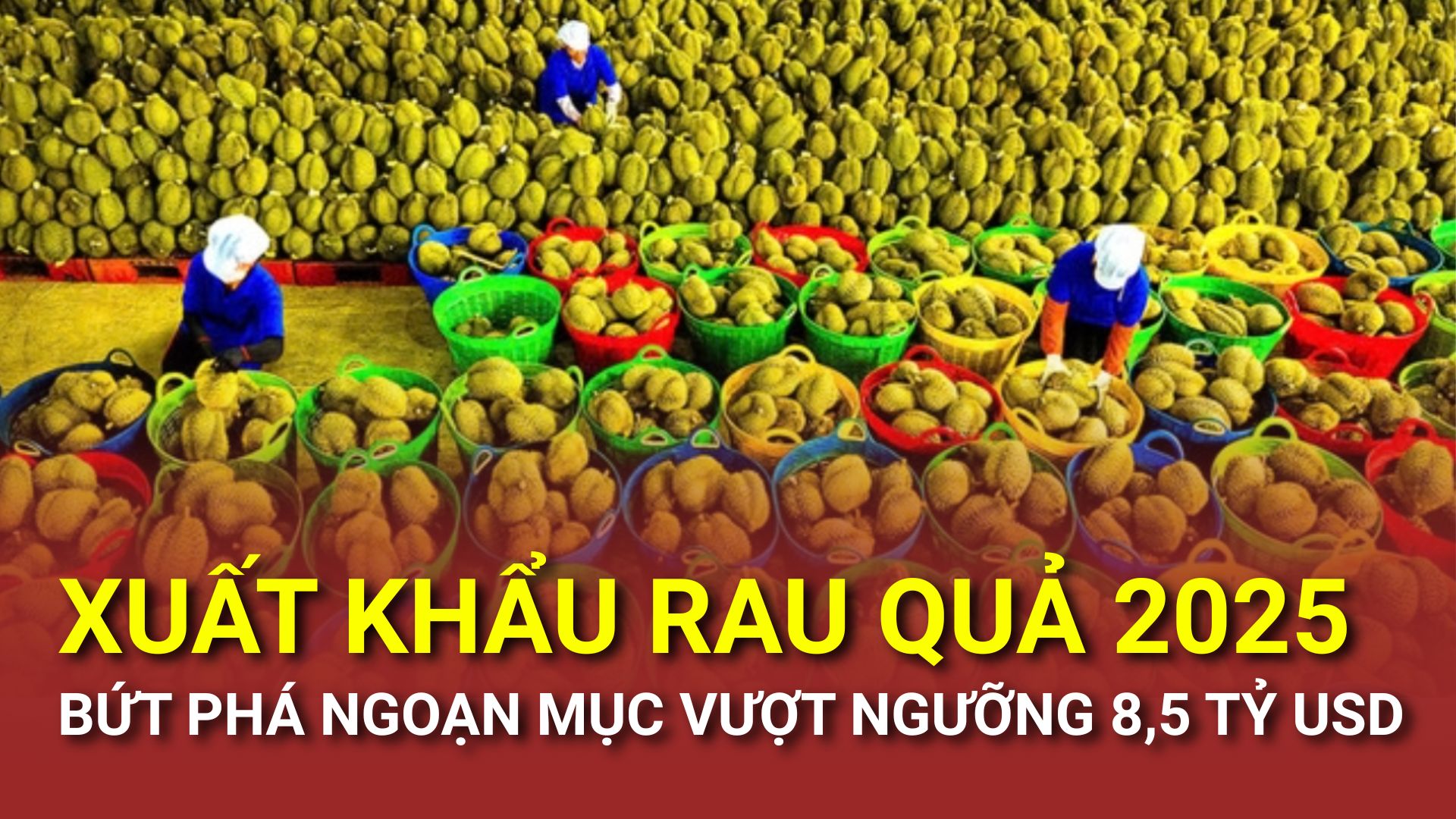 Xuất khẩu rau quả 2025 bứt phá ngoạn mục vượt ngưỡng 8,5 tỷ USD