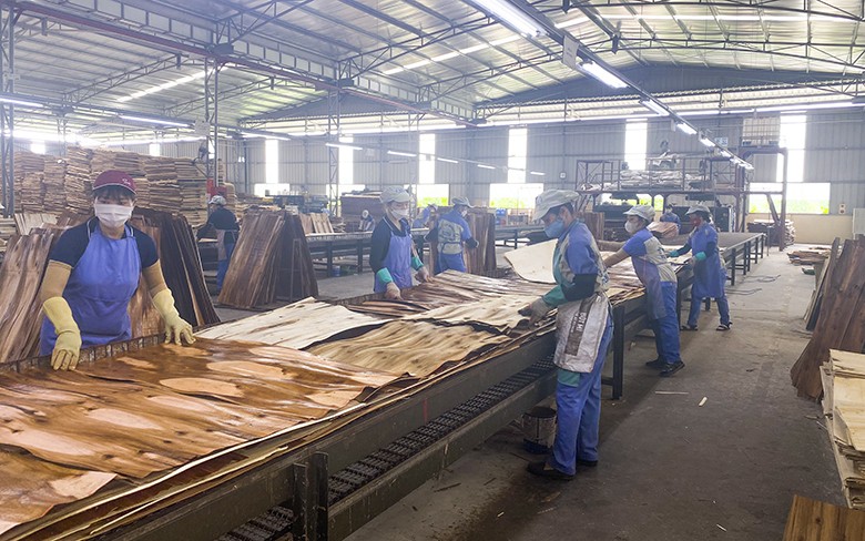 Ngành Công Thương Tuyên Quang xác định công nghiệp chế biến là trụ cột