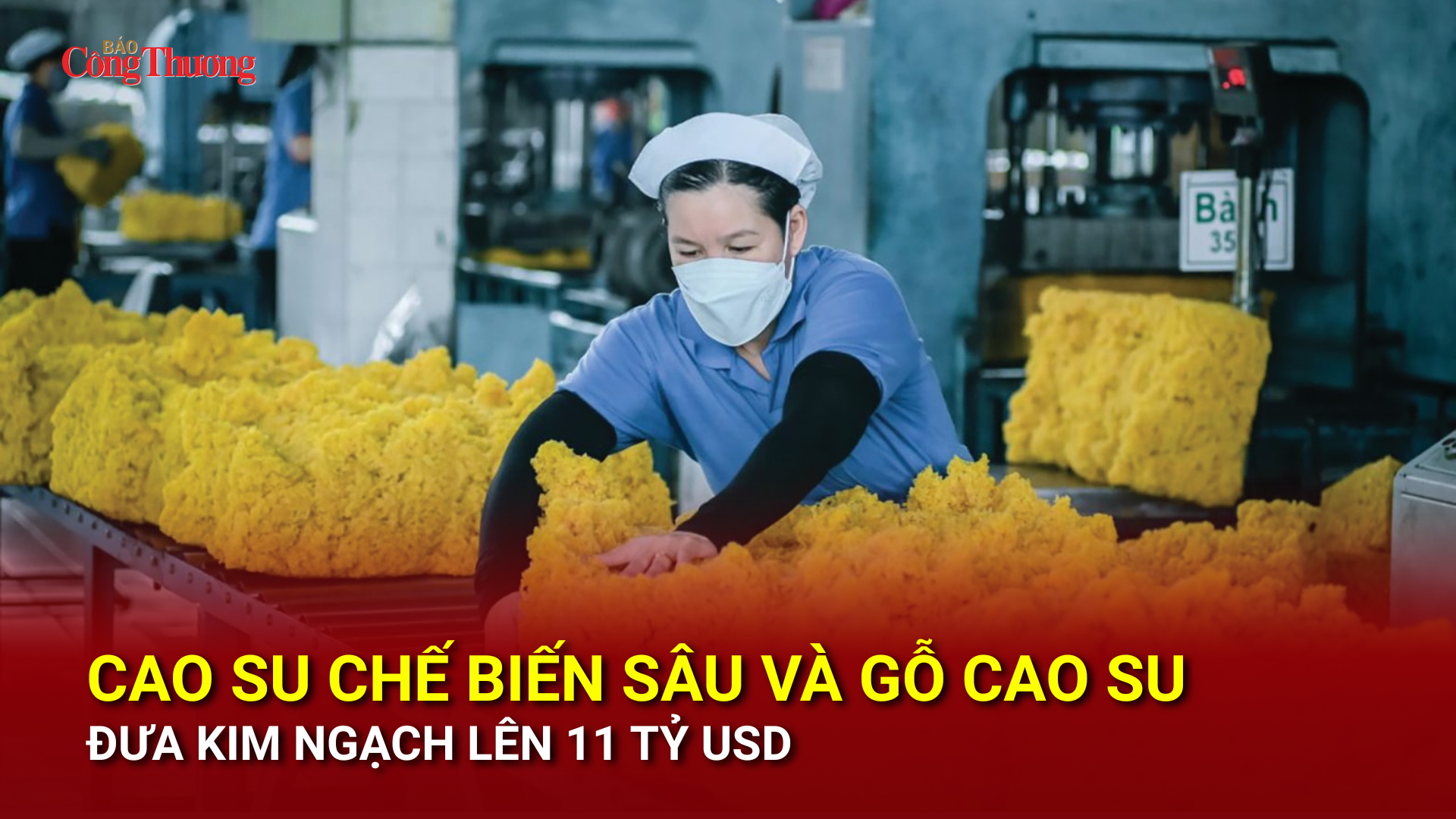 Cao su chế biến sâu và gỗ cao su đưa kim ngạch lên 11 tỷ USD
