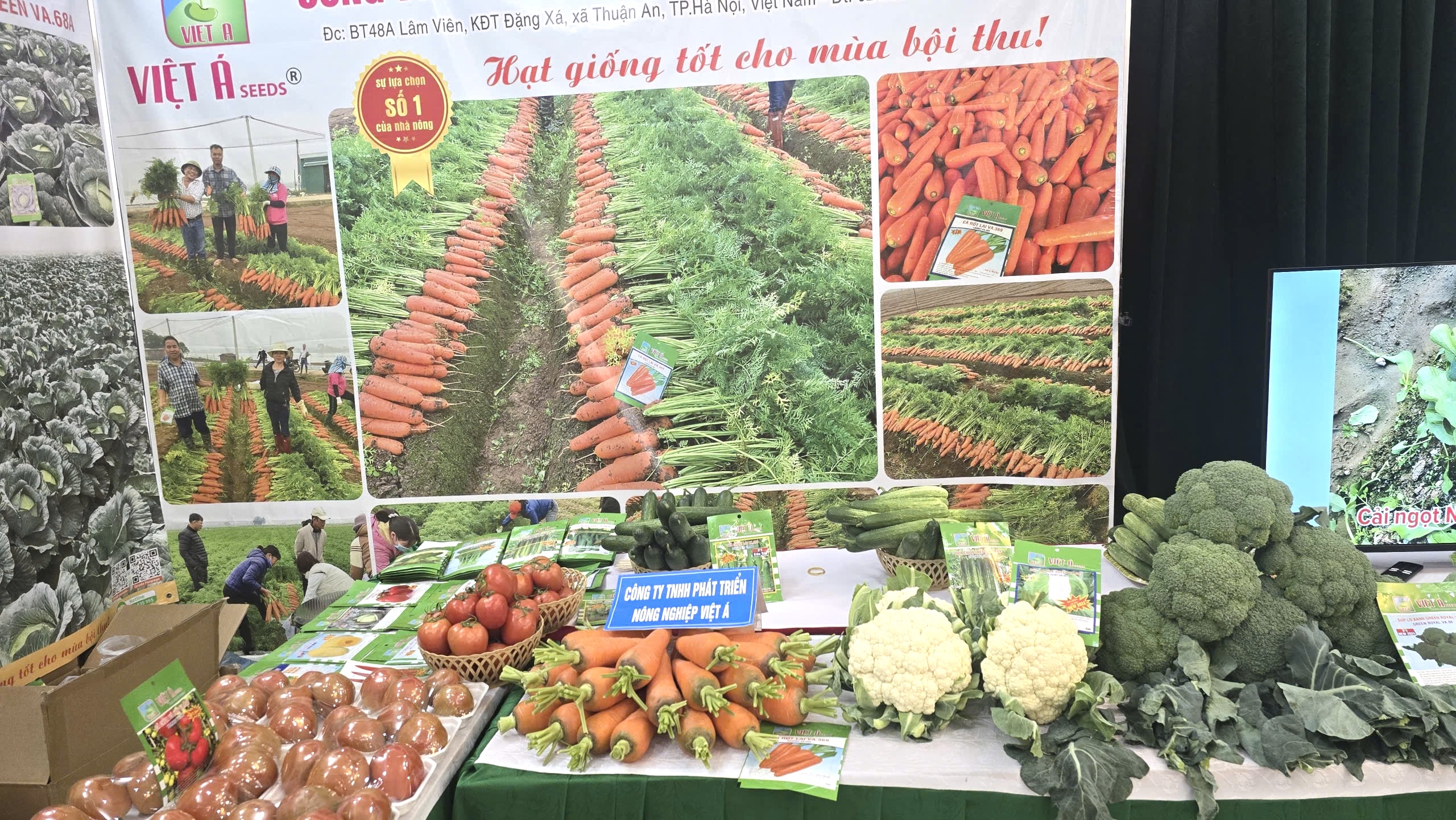 Hải Phòng: Kết nối nông sản hướng tới thị trường Tết