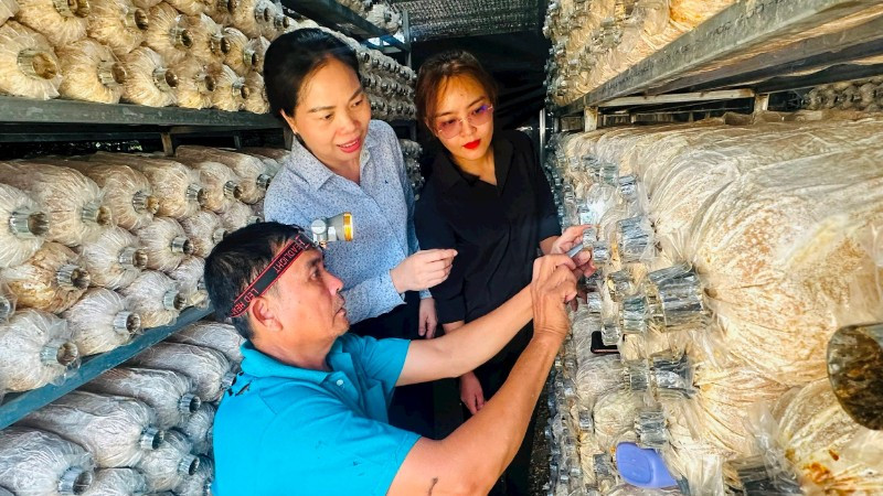 Quảng Ngãi: Tháo gỡ điểm nghẽn, thúc đẩy kinh tế tập thể phía Tây 